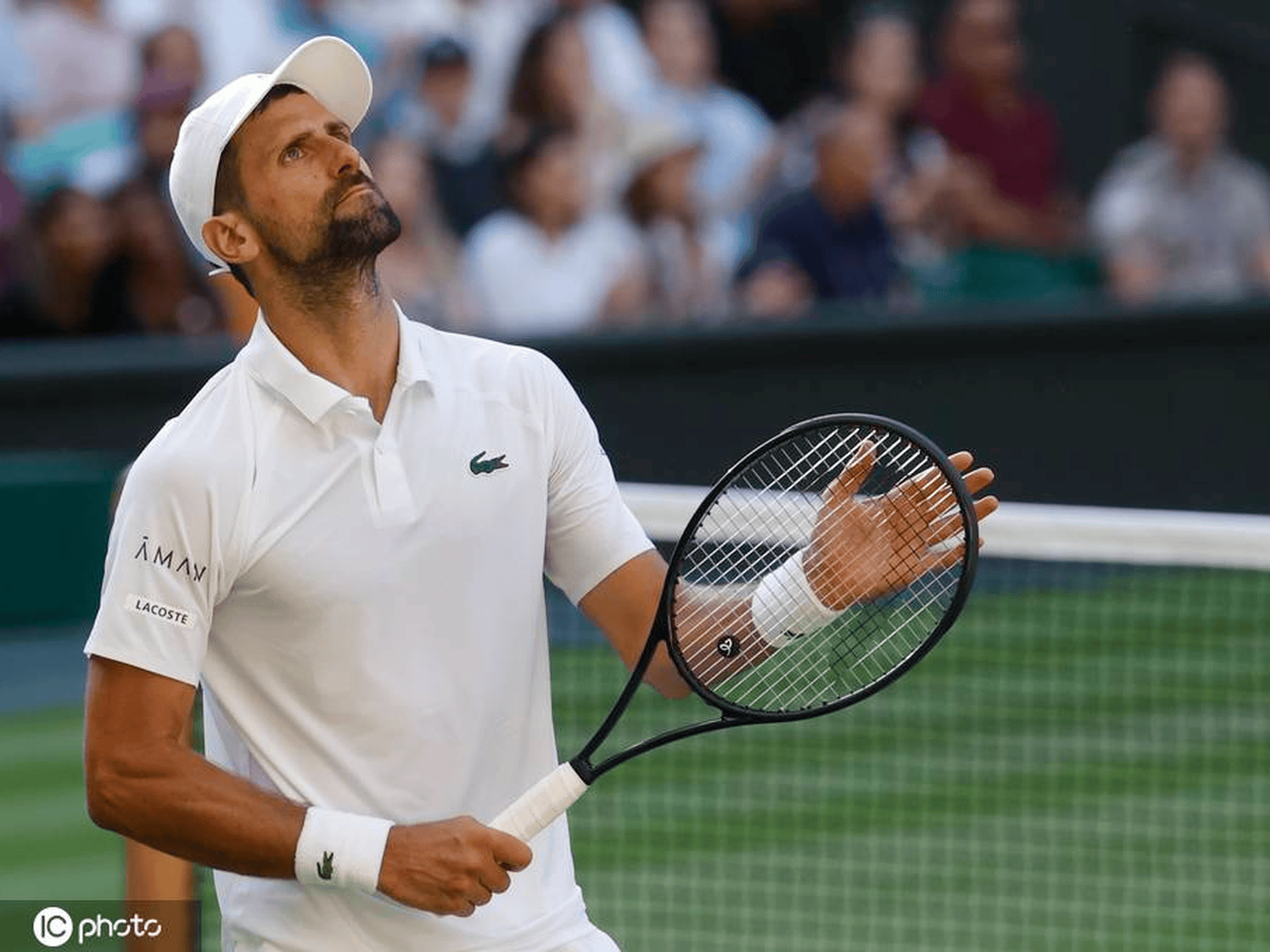 包含德约科维奇关键节点爆冷,澳大利亚队带队取胜!的词条 包含德约科维奇关键节点爆冷,澳大利亚队带队取胜!的词条